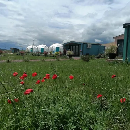 Mar A Glamping23 Douăzeci şi Trei August