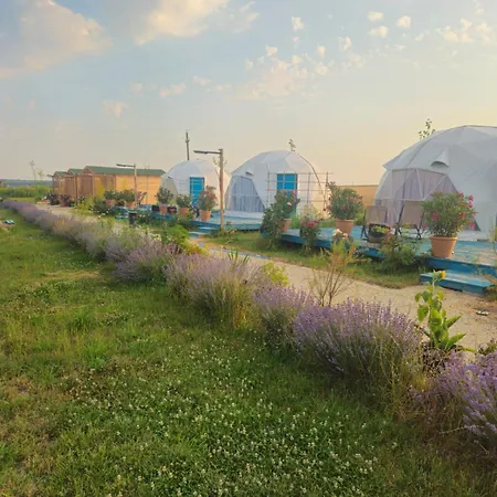 Mar A Glamping23 * Douăzeci şi Trei August